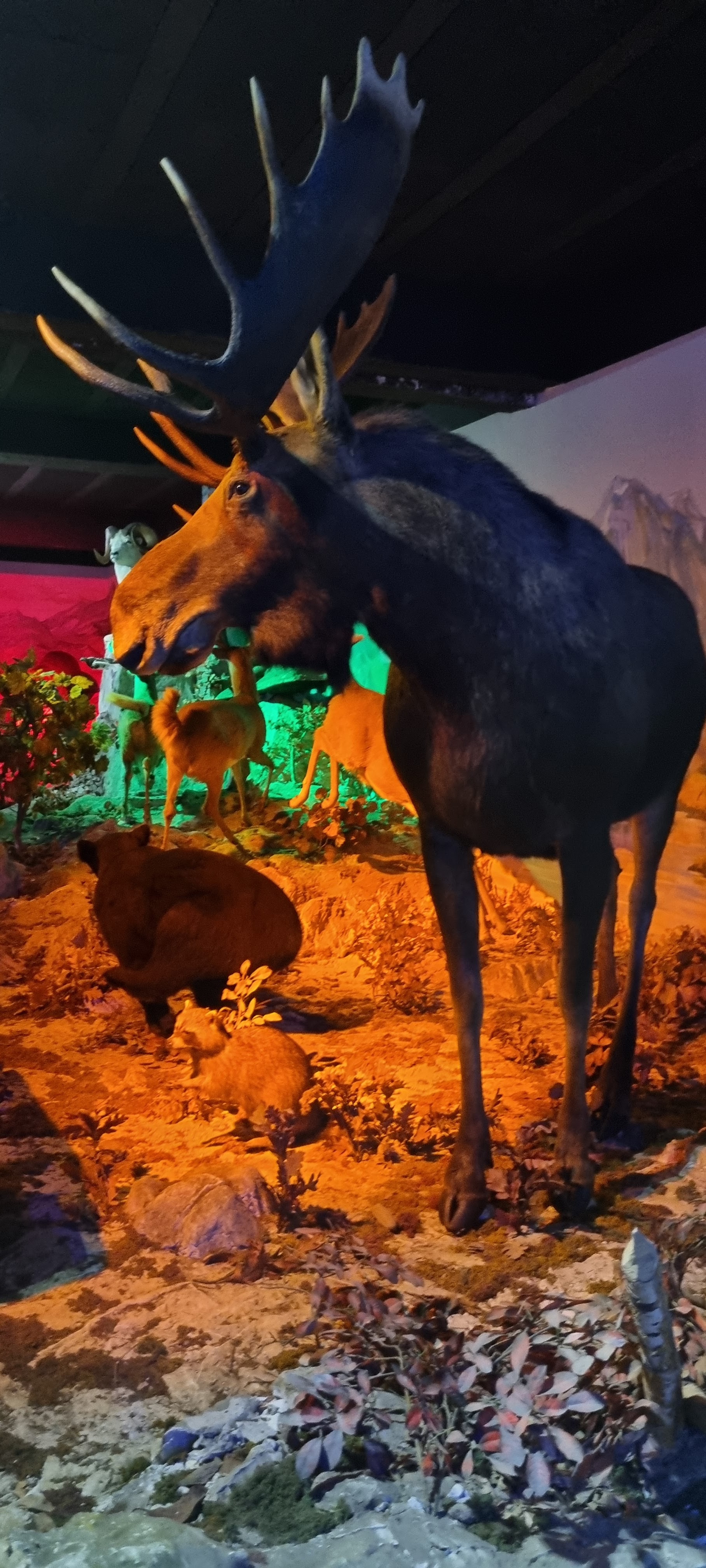 Photo n° 17 de l'avis de Anne.a fait le 25/04/2022 à 13:04