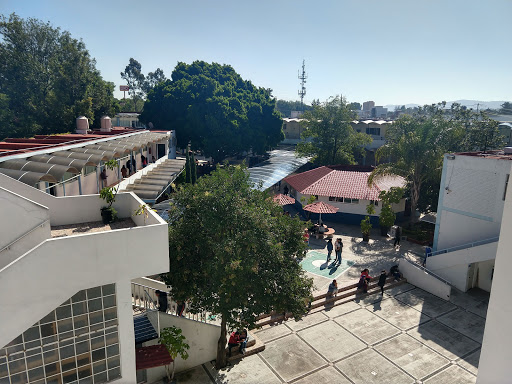 BUAP Faculty of Languages