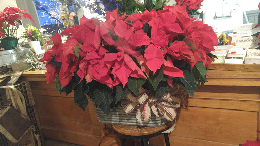 Florist «Platform 322», reviews and photos, 322 W Main St, Lexington, IL 61753, USA