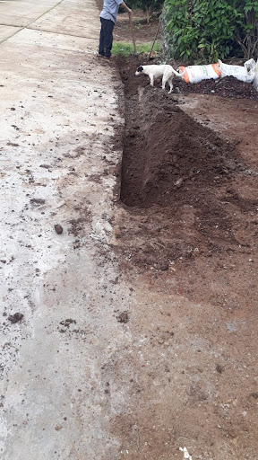 Department Store «Target», reviews and photos, 525 First Colonial Road, Virginia Beach, VA 23451, USA