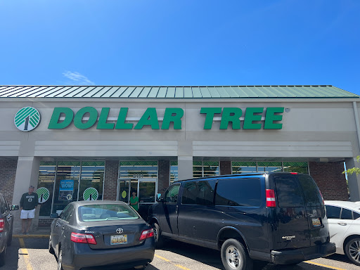 Dollar Store «Dollar Tree», reviews and photos, 8491 Grand River Ave, Brighton, MI 48116, USA