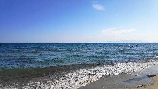 Paralia Mesis