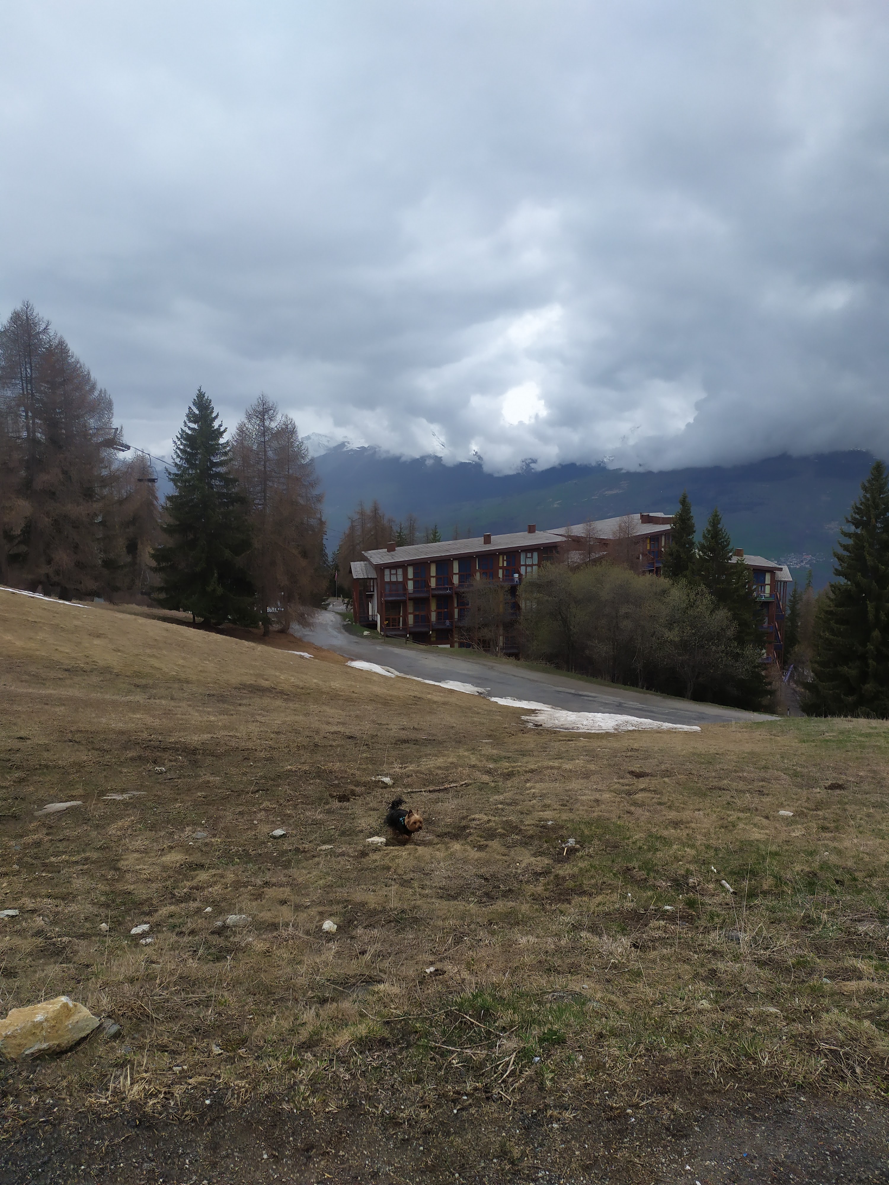 Photo n° 23 de l'avis de Christelle.E fait le 23/04/2023 à 16:43