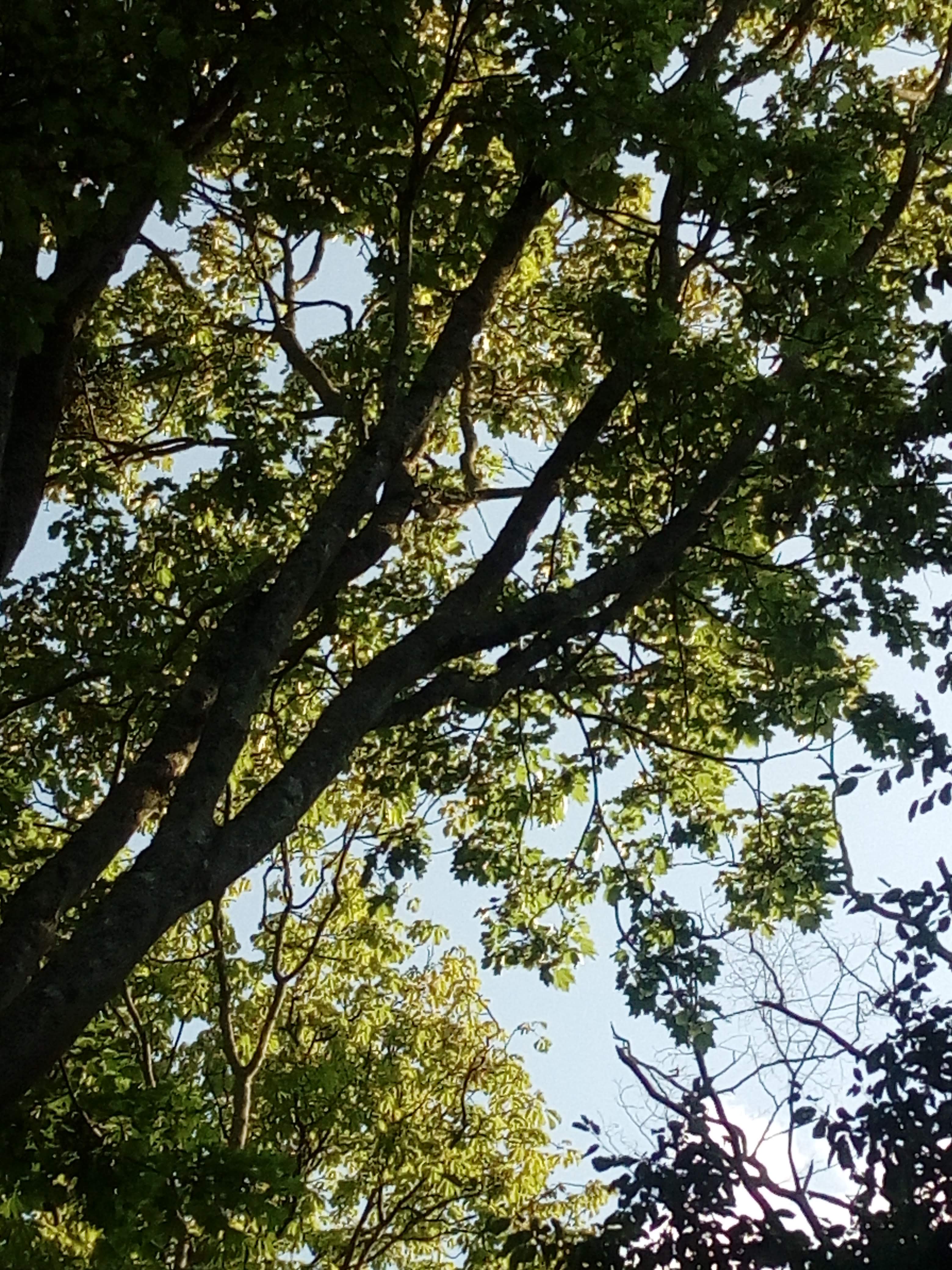Photo n° 2 de l'avis de Nana. fait le 23/07/2019 à 13:59