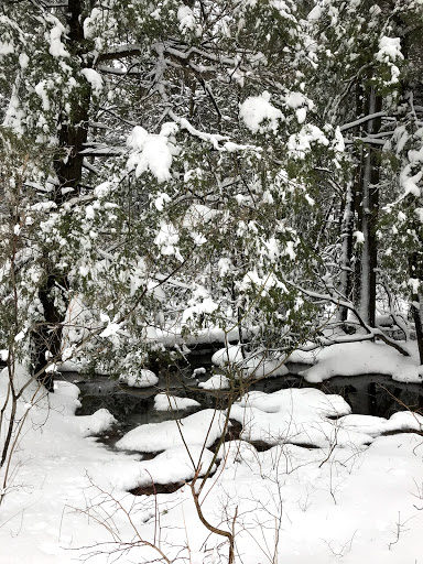 Ski Resort «High Point Cross Country Ski Center», reviews and photos, 1480 NJ-23, Sussex, NJ 07461, USA