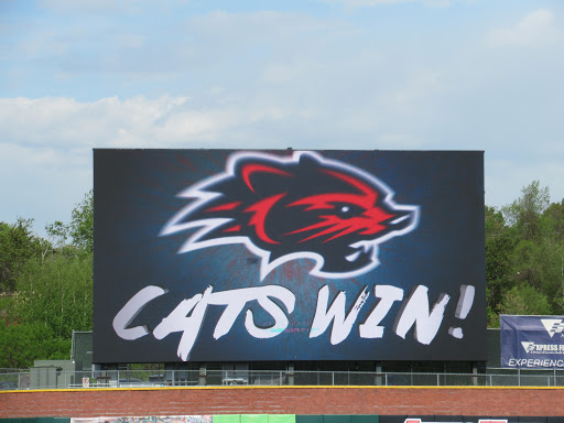 Baseball Field «Northeast Delta Dental Stadium», reviews and photos