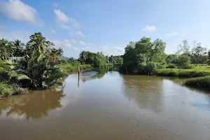 Perlis River image