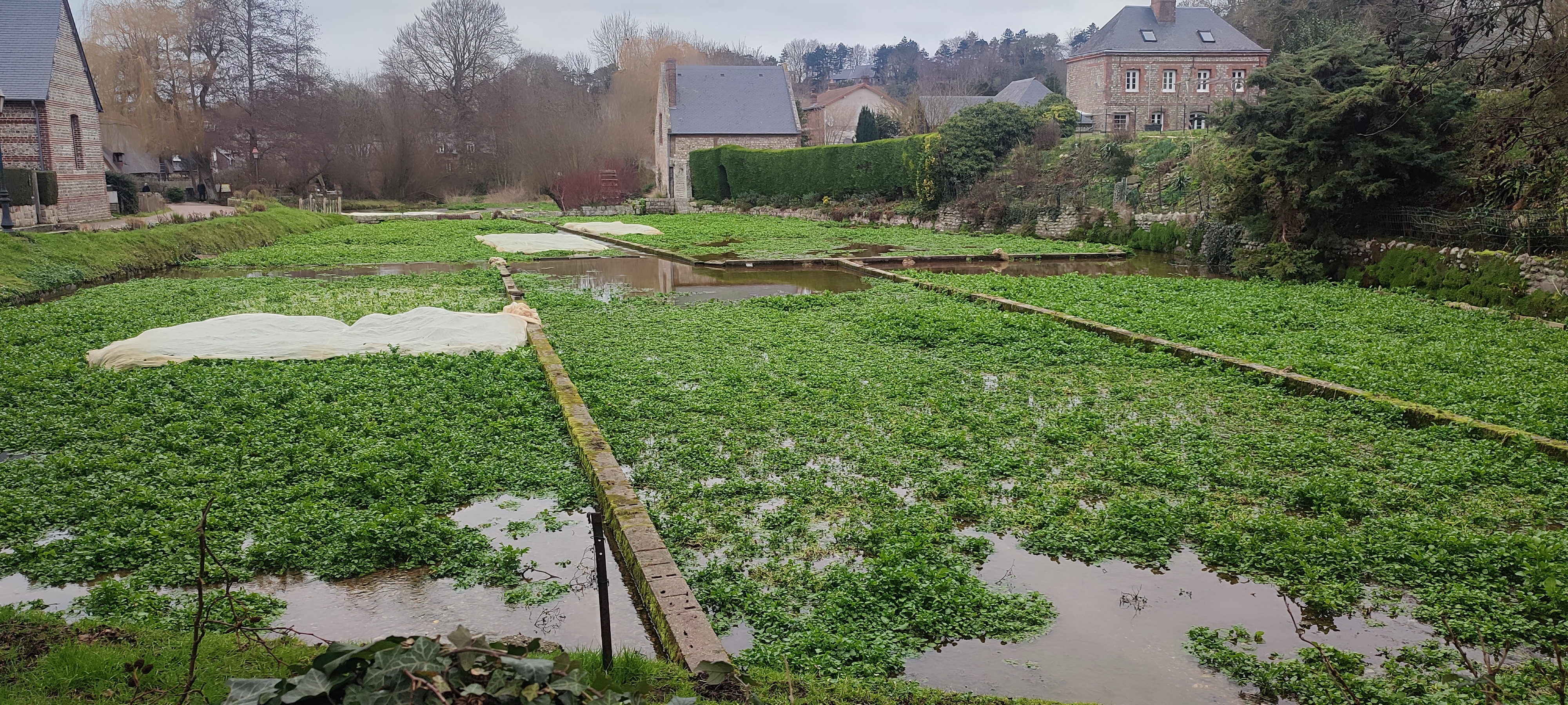 Photo n° 1 de l'avis de freddy.r fait le 22/02/2023 à 20:04
