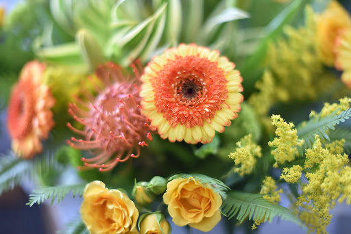 Florist «LaVassar Florists», reviews and photos, 7530 20th Ave NE, Seattle, WA 98115, USA