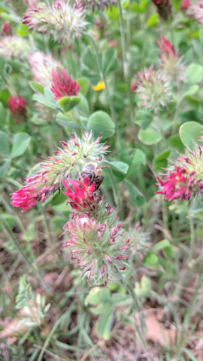 Park «Rickel Park», reviews and photos, 2100 Rickel Park Dr, Hurst, TX 76053, USA