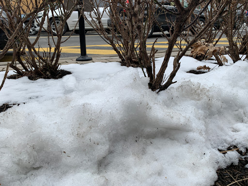 Computer Store «Apple Ridge Hill», reviews and photos, 143 Market Street, Yonkers, NY 10710, USA