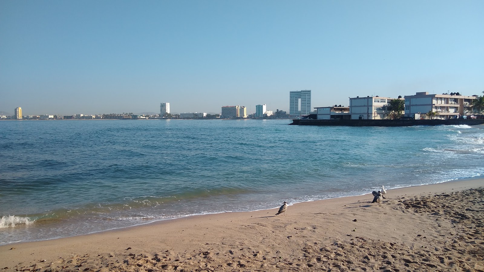 Foto van Los Pinitos beach met beige zand oppervlakte