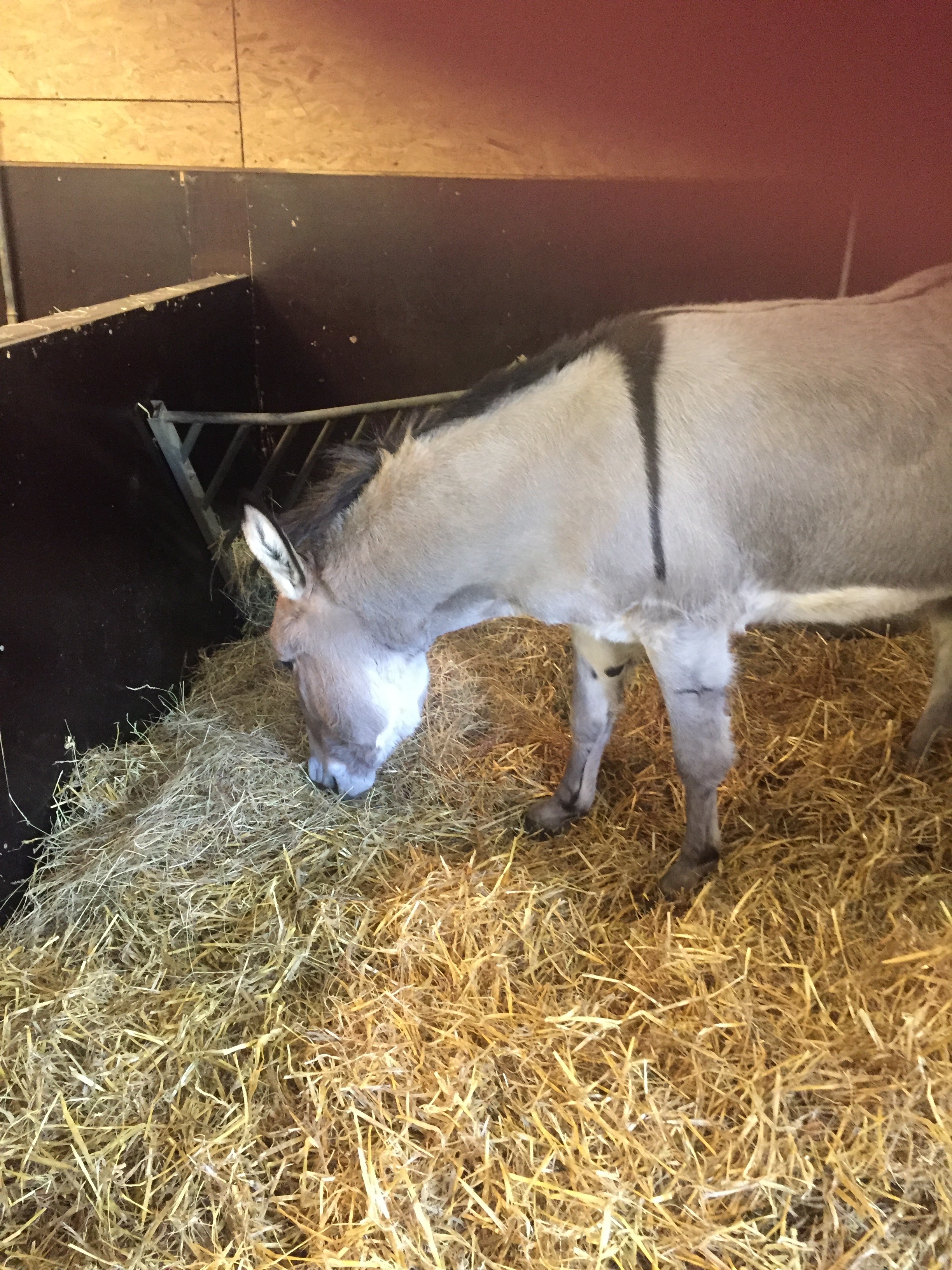 Photo n° 13 de l'avis de lou.o fait le 21/04/2018 à 14:21