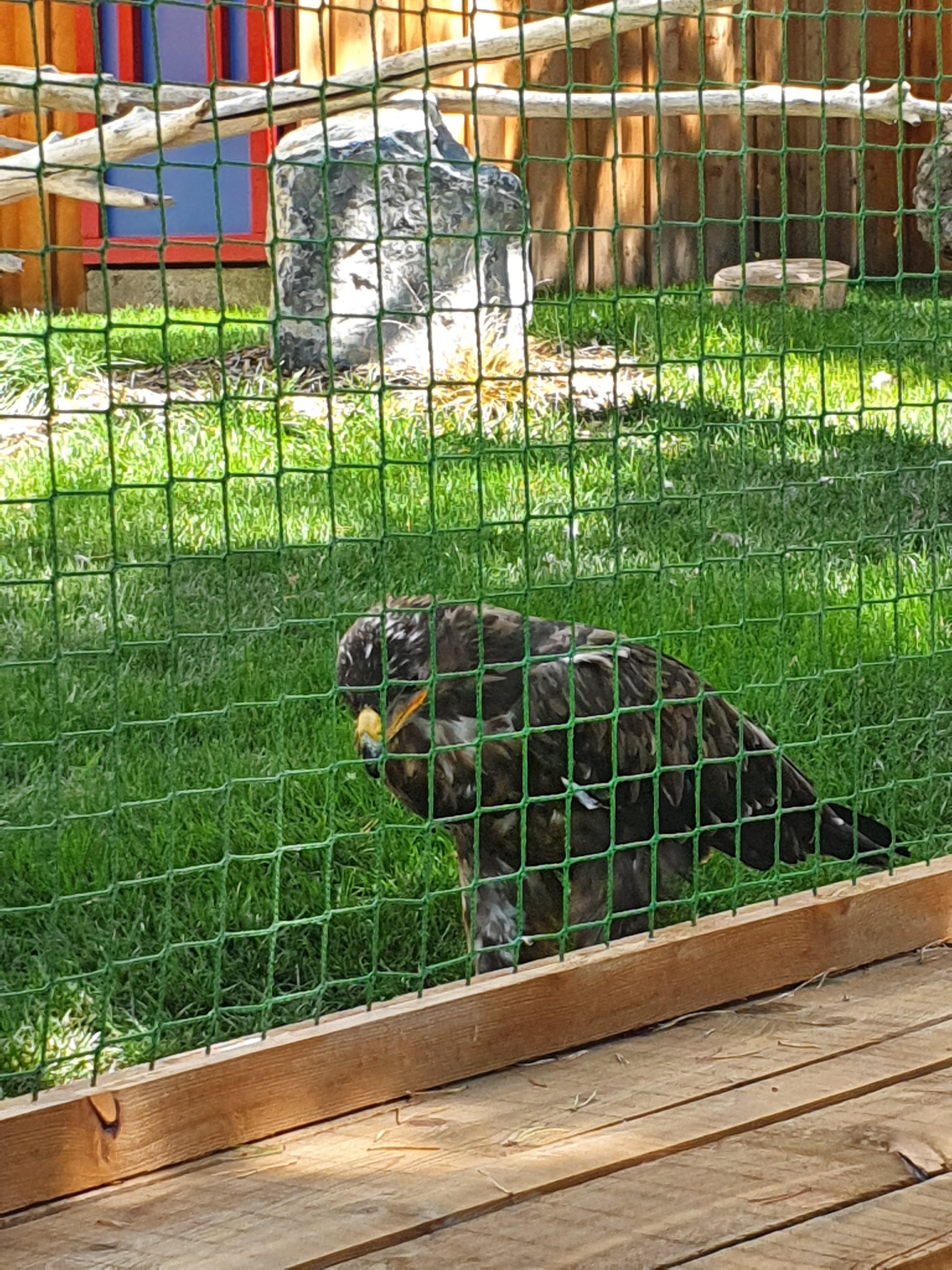 Photo n° 5 de l'avis de Jonathan.e fait le 22/08/2022 à 06:27