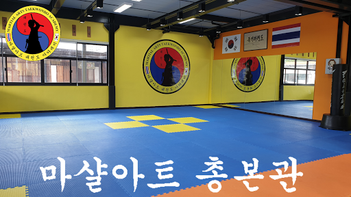 Martial Arts Taekwondo Academy