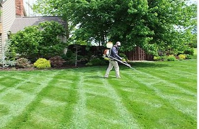 Roots Lawn Care