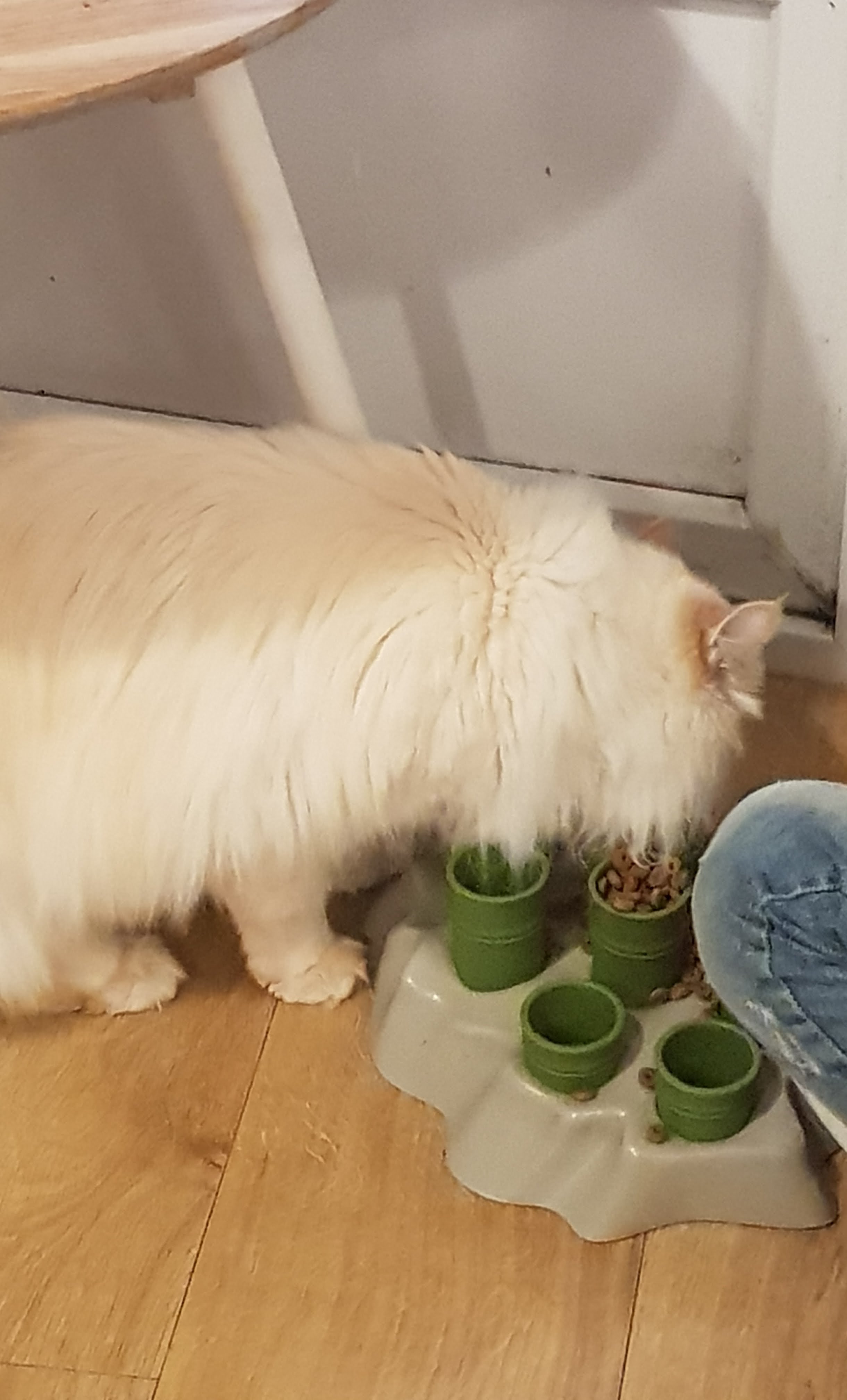 Photo n° 4 de l'avis de stephanie.u fait le 12/04/2018 à 18:18
