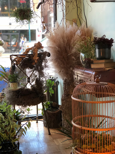 Florist «Fleur de Lou Flowers & Gifts», reviews and photos, 6346 Delmar Blvd, University City, MO 63130, USA