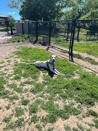 Naugatuck Dog Park