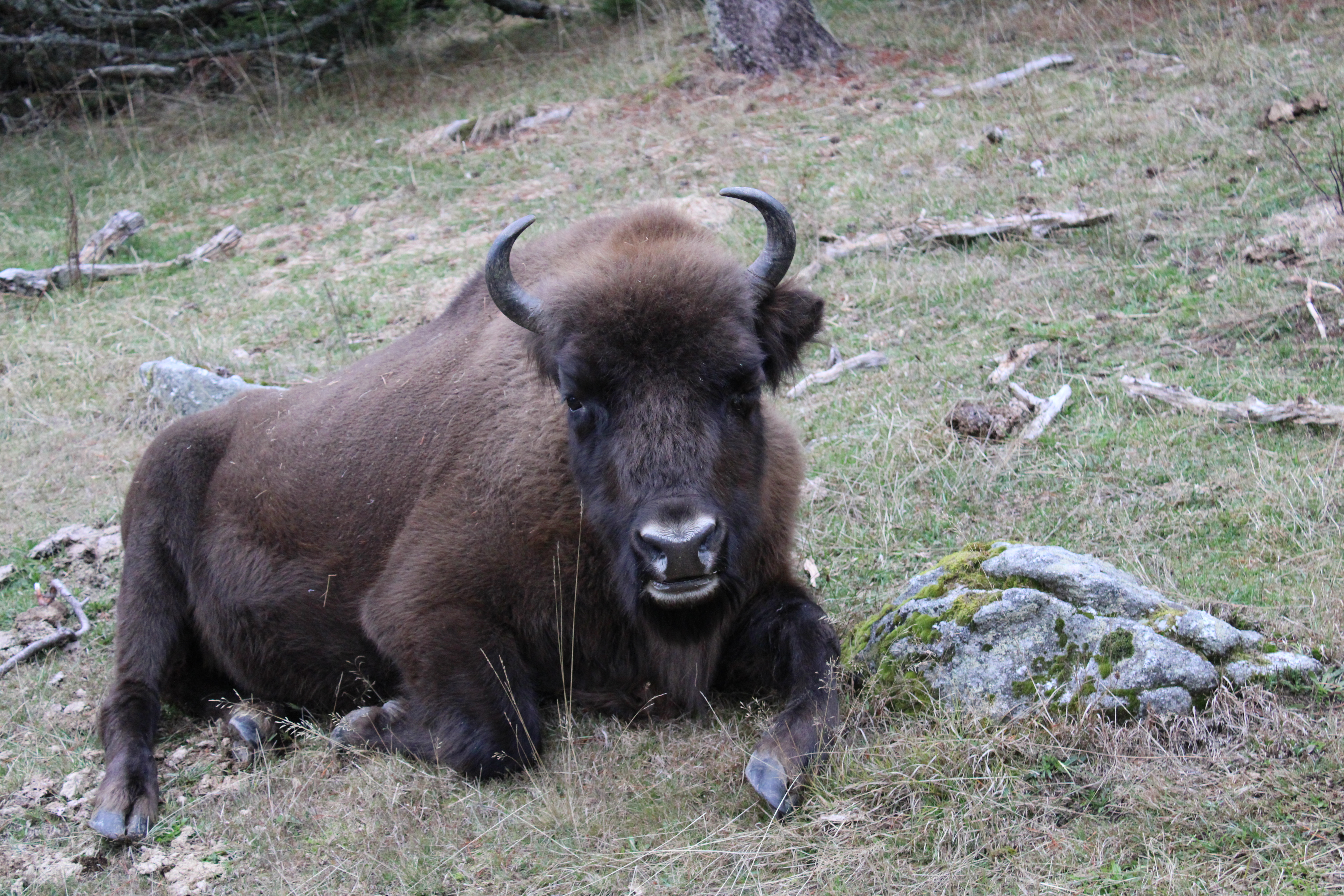 Photo n° 1 de l'avis de Brandon.i fait le 20/10/2020 à 16:26