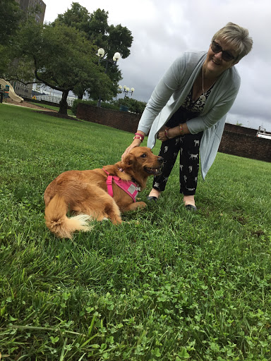 Park «Lytle Park», reviews and photos, 501 E 4th St, Cincinnati, OH 45202, USA