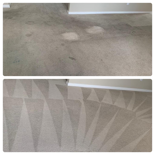 Carpet Cleaning Service «Indy Carpet Cleaning», reviews and photos, 5541 Guilford Ave, Indianapolis, IN 46220, USA