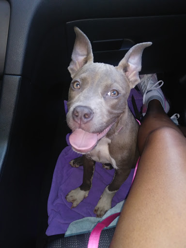 Pet Supply Store «PetSmart», reviews and photos, 101 Pavilion Pkwy, Fayetteville, GA 30214, USA