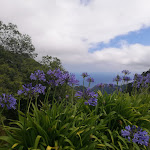 Photo n°9 de l'avis de Anne-Laure. fait le 01/07/2023 à 14:12 sur le  Eira Do Serrado à Funchal