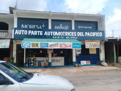 AUTO PARTE AUTOMOTRICES DEL PACIFICO AYUTLA - Tienda de repuestos para automóvil en Ayutla de los Libres, Guerrero, México