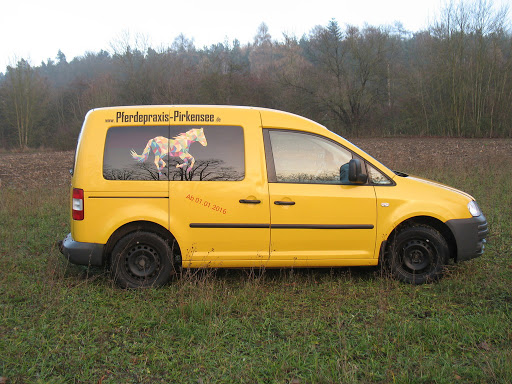 Pferdepraxis Pirkensee unter Maxhütte-Haidhof, 