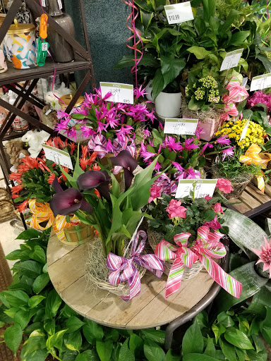 Supermarket «Kings Super Markets», reviews and photos, 100 Morristown Rd, Bernardsville, NJ 07924, USA