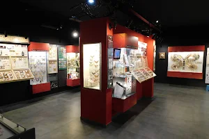 Muzeum Motyli w Łebie - czynne cały rok image