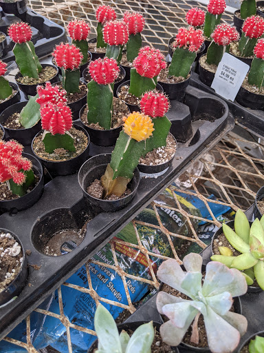 Home Improvement Store «The Home Depot», reviews and photos, 120 S Shary Rd, Mission, TX 78572, USA