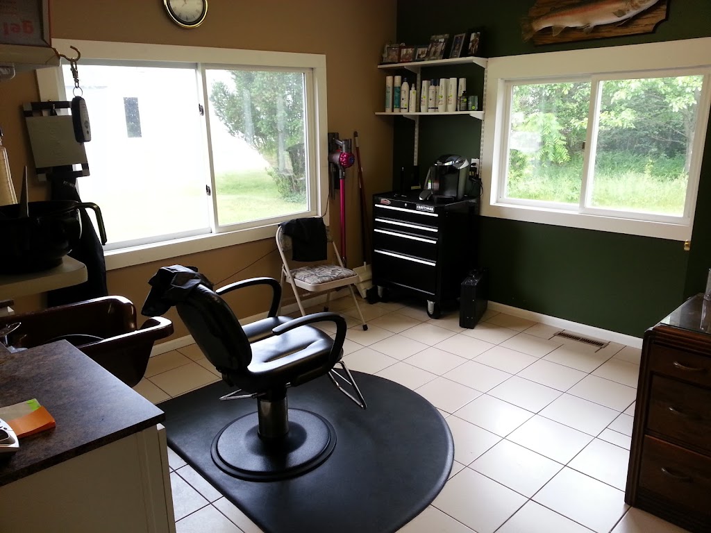 David Willis/Barber 49024