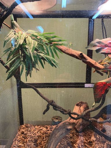 Pet Store «Southside Pet Shop», reviews and photos, 7031 Southside Dr, Louisville, KY 40214, USA