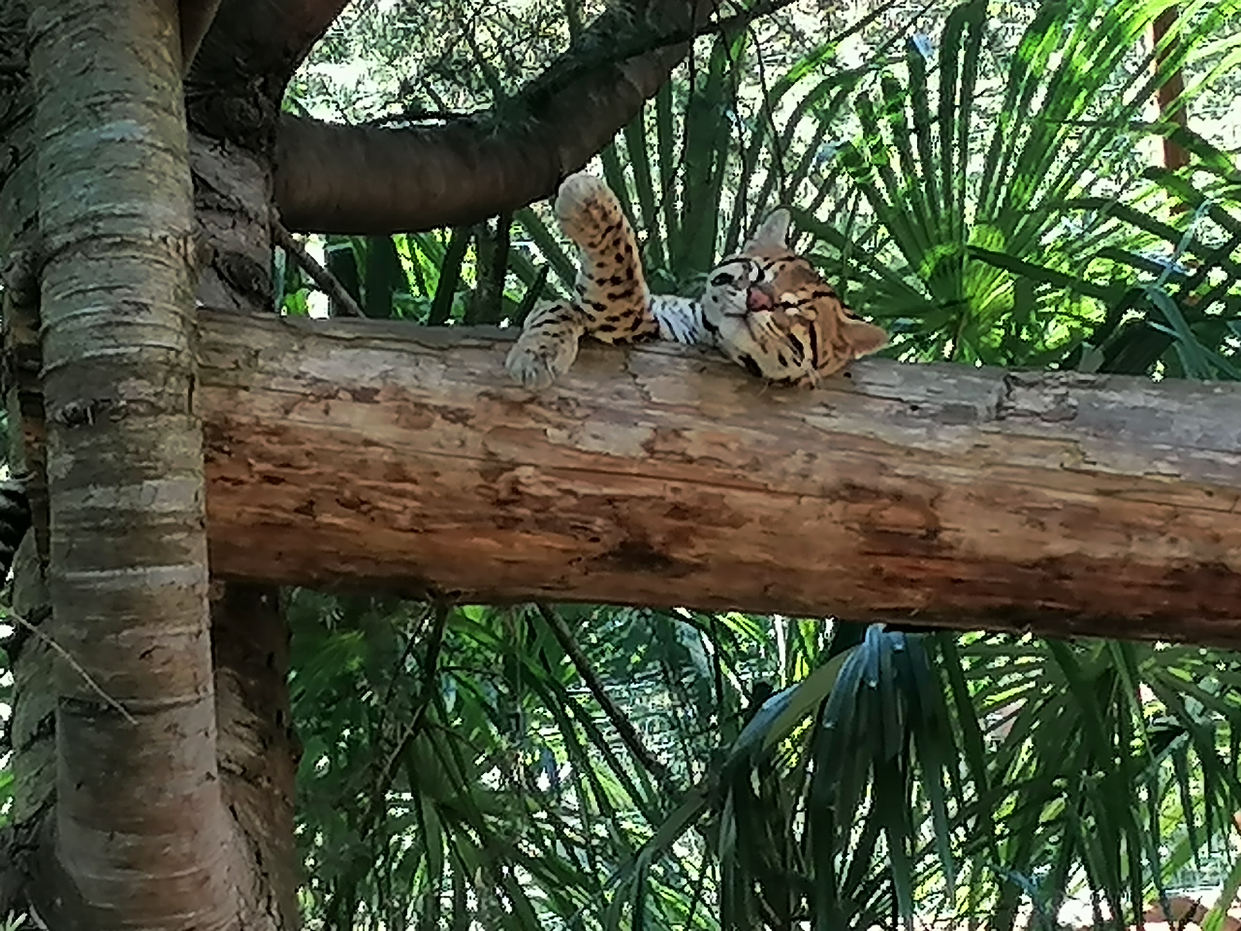 Photo n° 31 de l'avis de Gilles.. fait le 23/08/2023 à 12:57