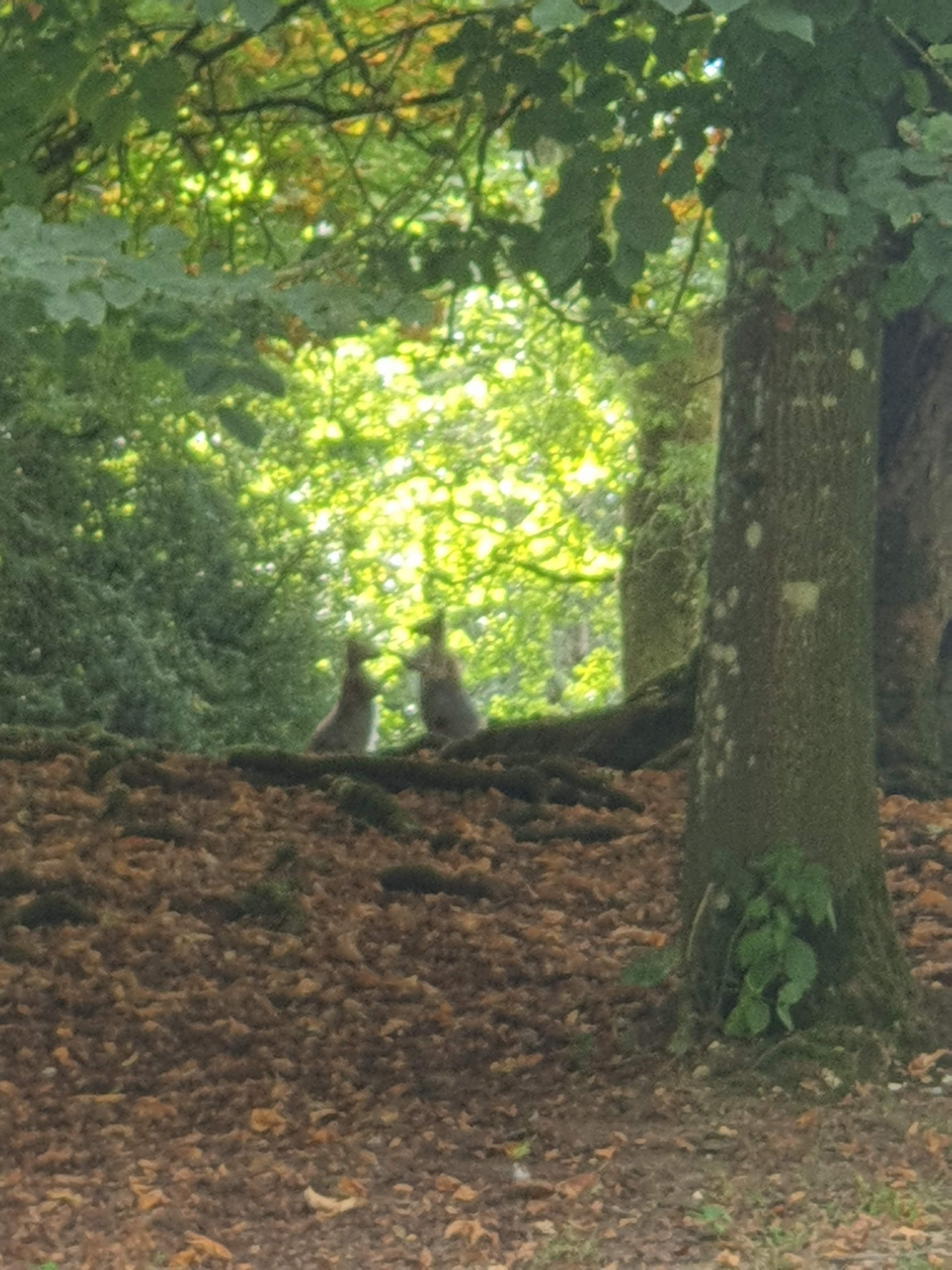 Photo n° 4 de l'avis de Emmanuèle.n fait le 26/10/2021 à 14:18