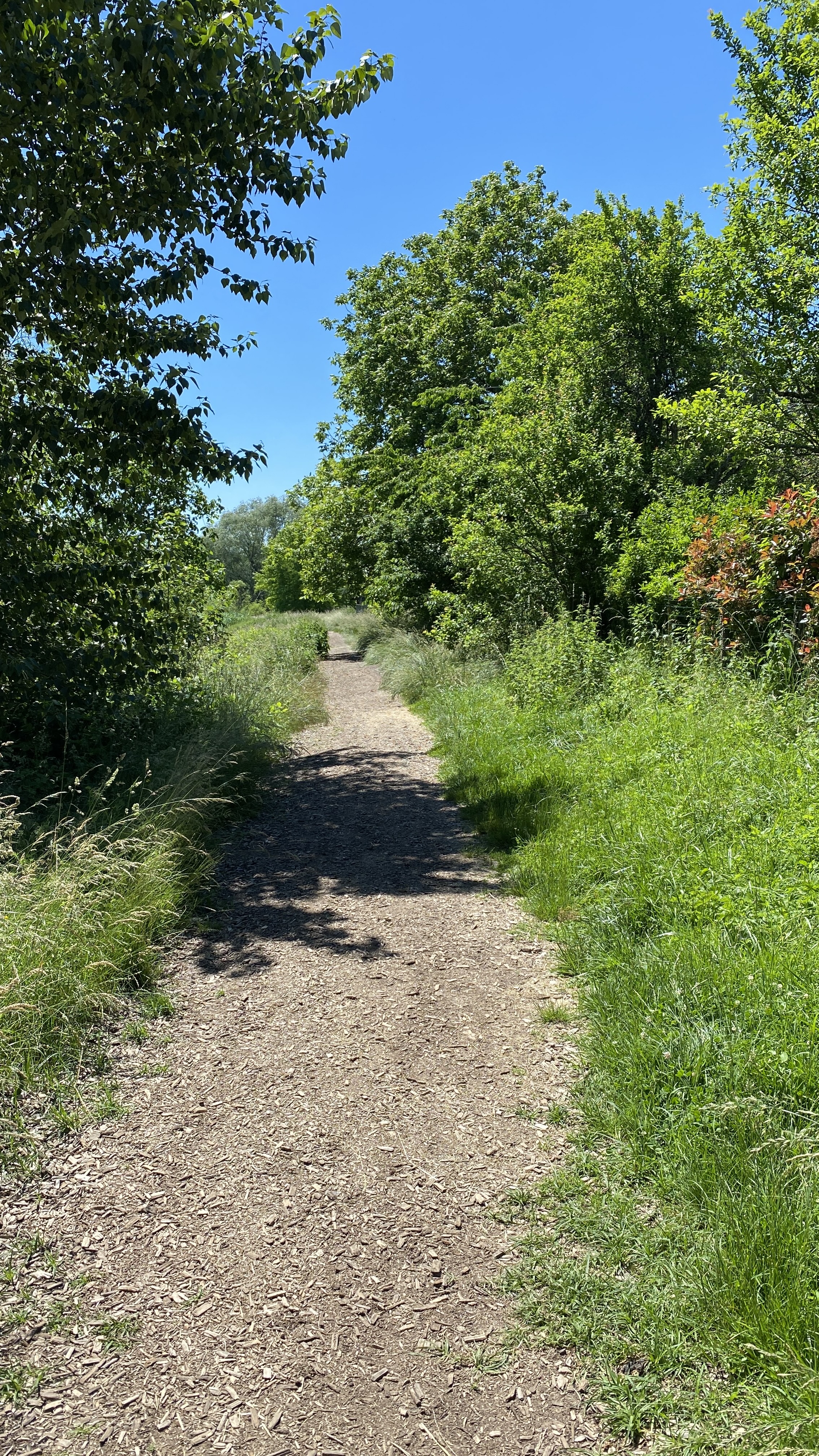Photo n° 2 de l'avis de Frédéric.e fait le 05/10/2021 à 10:22