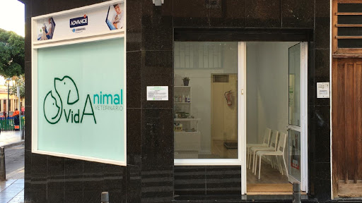 Vidanimal Veterinario en Las Palmas de Gran Canaria