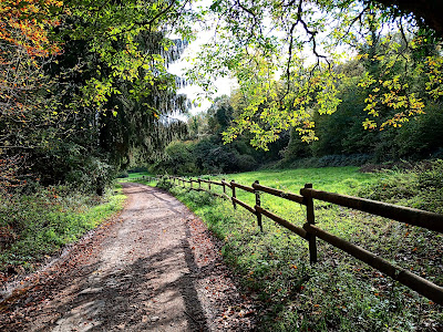 Fond de Beuvange à Vitry-sur-Orne