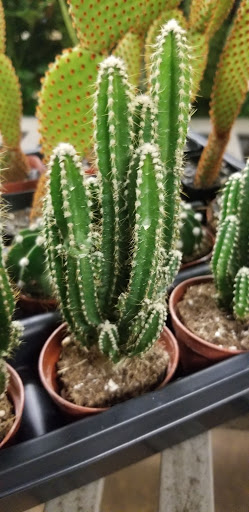 Florist «Sieck-Wright Floral Products», reviews and photos, 231 Monmouth St, Hightstown, NJ 08520, USA