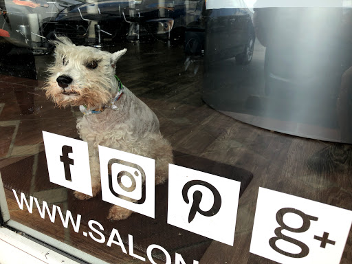 Hair Salon «Salon 305 Hair Salon and Spa», reviews and photos, 9678 NW 25th St, Doral, FL 33172, USA