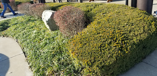 American Restaurant «Cracker Barrel Old Country Store», reviews and photos, 475 Rivers Edge Dr, Milford, OH 45150, USA