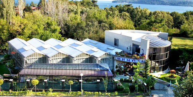 Opinii despre Градина Мимоза în Варна - Цветарница