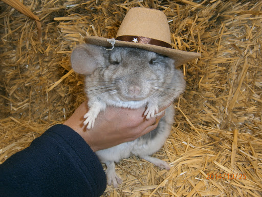 Pet Supply Store «CountryMax - Geneseo», reviews and photos, 4101 Lakeville Rd, Geneseo, NY 14454, USA