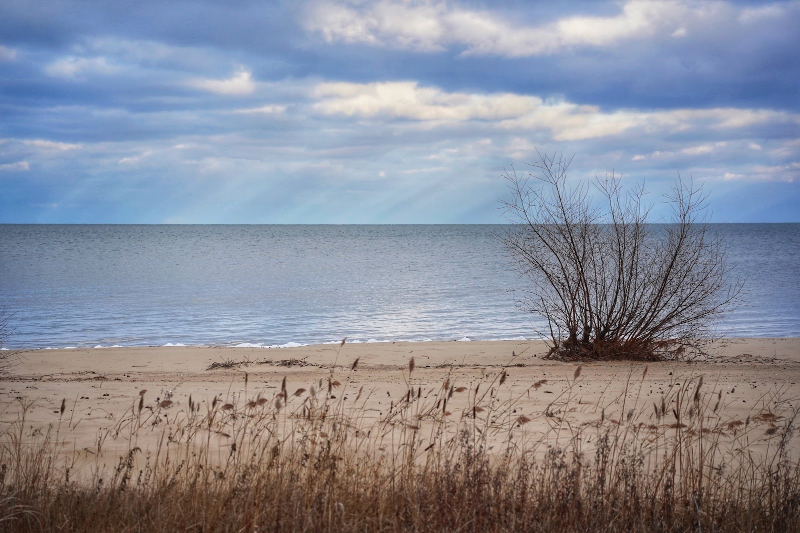 Bay City State Park Beach photo #8