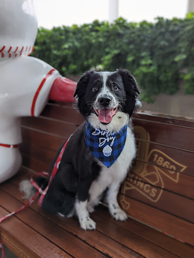 Stadium «Great American Ball Park», reviews and photos, 100 Joe Nuxhall Way, Cincinnati, OH 45202, USA