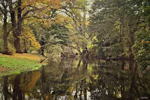 Park Jagielloński w Stargardzie image