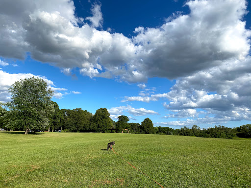 Nature Preserve «Bemis Woods», reviews and photos, 1100 Ogden Ave, Westchester, IL 60154, USA