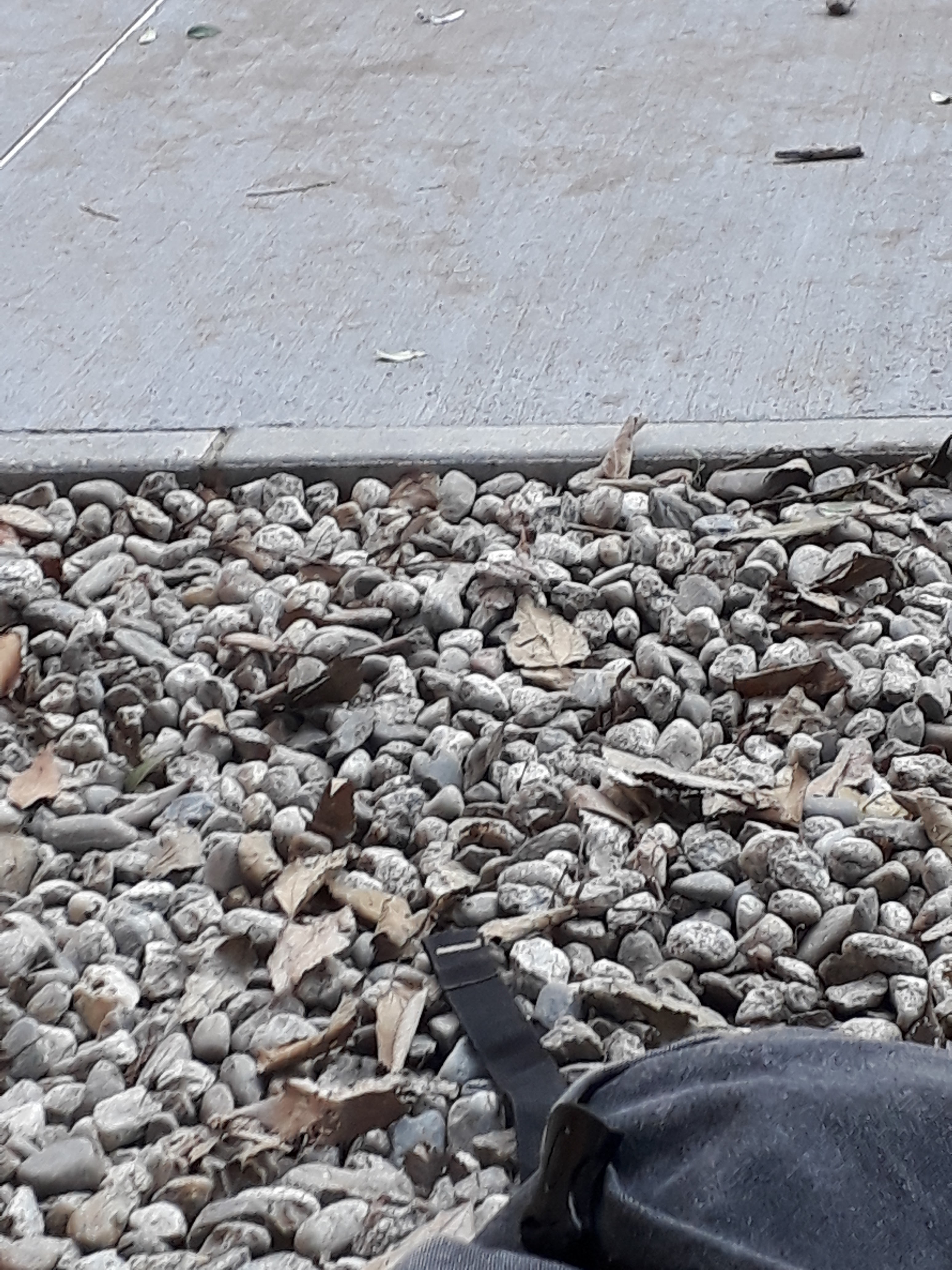 Photo n° 17 de l'avis de William.m fait le 11/12/2018 à 12:09